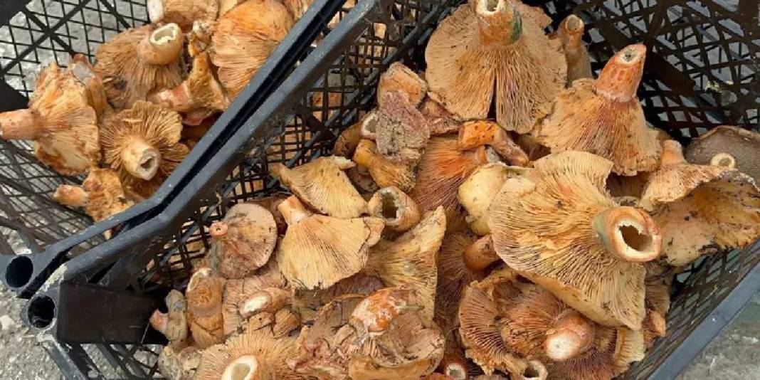 Yağmur gelince fiyatlar düştü! 3 kat ucuza alım fırsatı: Yol kenarında satılıyor, fiyatı 300 TL’den 100’e düşüyor 3